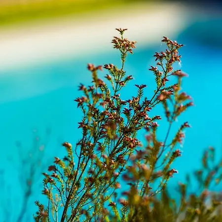 Quinta Do Cerqueiral Dom wakacyjny *