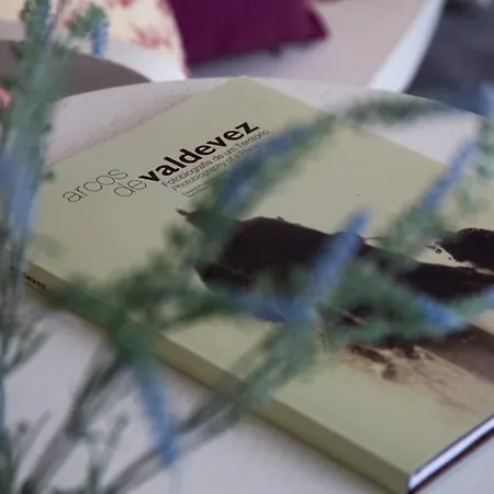 Quinta Do Cerqueiral Dom wakacyjny Arcos de Valdevez