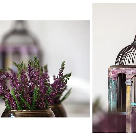 Quinta Do Cerqueiral * Arcos de Valdevez