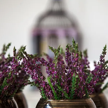 Quinta Do Cerqueiral Arcos de Valdevez