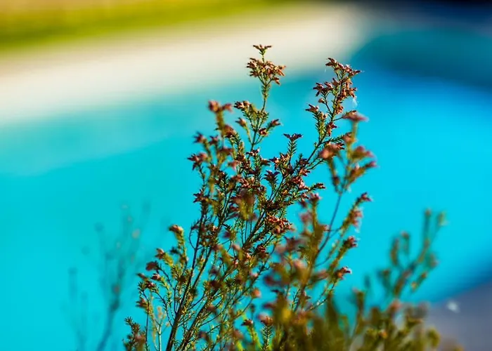 Quinta Do Cerqueiral Vakantiehuis *