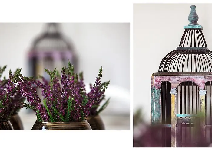 Quinta Do Cerqueiral * Arcos de Valdevez