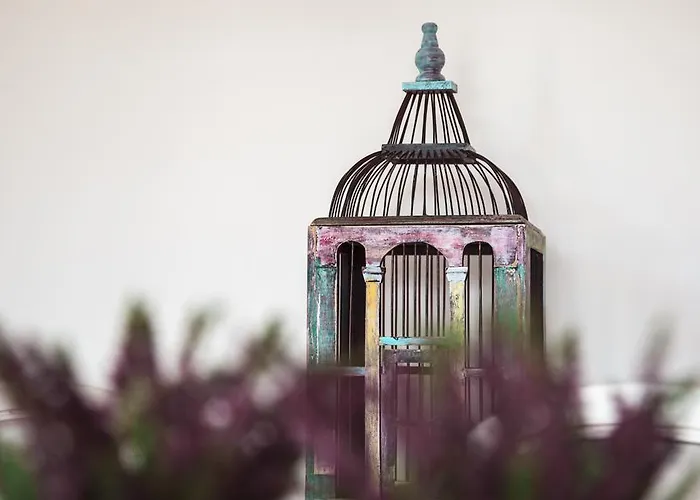 Quinta Do Cerqueiral Vakantiehuis *