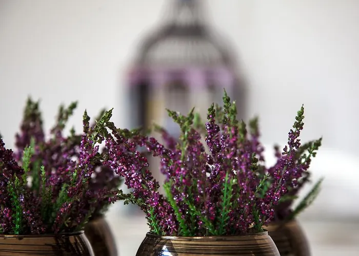 Quinta Do Cerqueiral Arcos de Valdevez